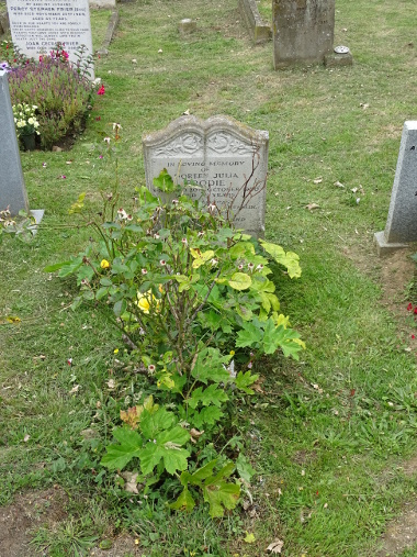 Brodie grave