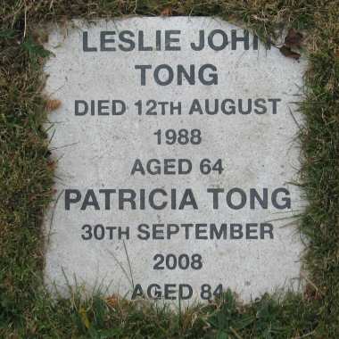 Tong memorial stone