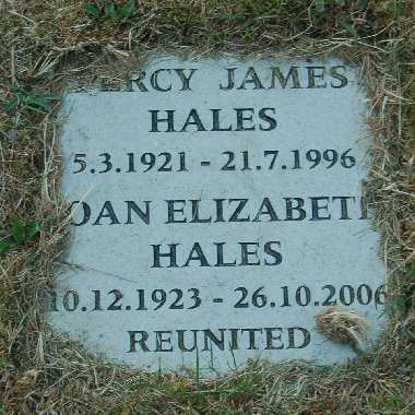 Hales memorial stone